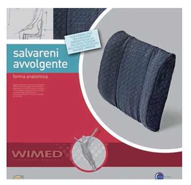 Back support pillow